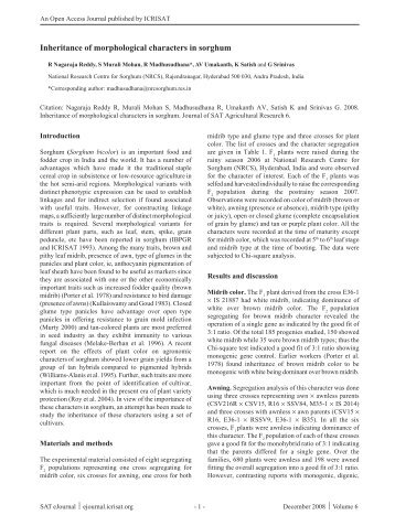 Inheritance of morphological characters in sorghum - icrisat