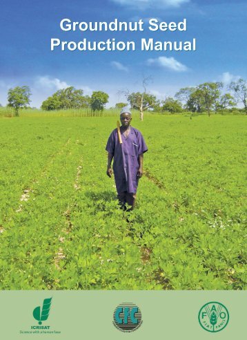 Groundnut Seed Production Manual Groundnut Seed ... - icrisat