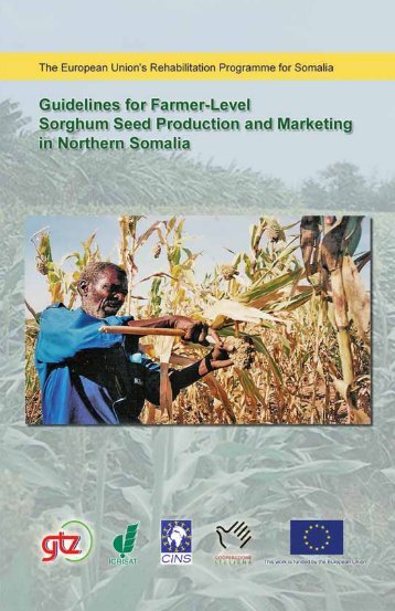 Guidelines for Farmer-Level Sorghum Seed Production and ... - Icrisat