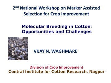 Molecular breeding in cotton - Icrisat