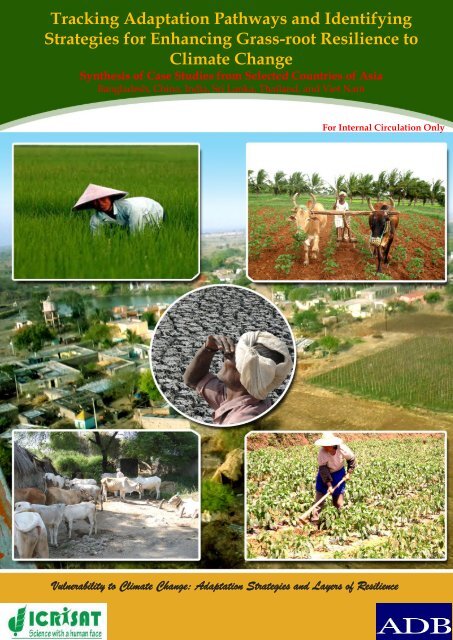 Regional synthesis report - icrisat