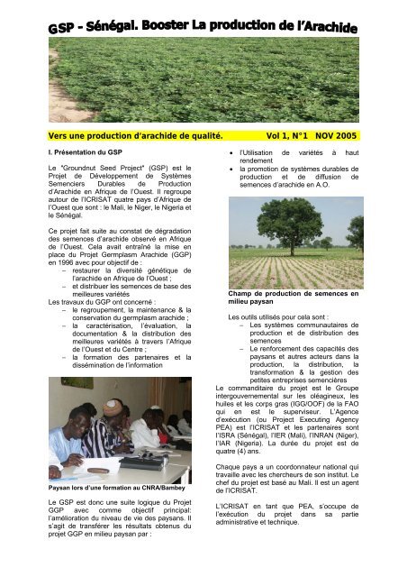 Vers une production d'arachide de qualitÃ©. Vol 1, NÂ°1 NOV ... - icrisat