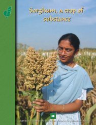 Sorghum - icrisat