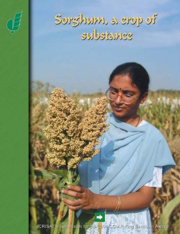 Sorghum - icrisat