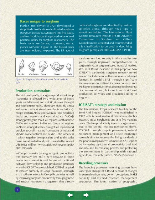 Sorghum - icrisat