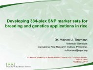 Developing 384-plex SNP marker sets for breeding and ... - icrisat