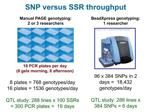 Developing 384-plex SNP marker sets for breeding and ... - icrisat