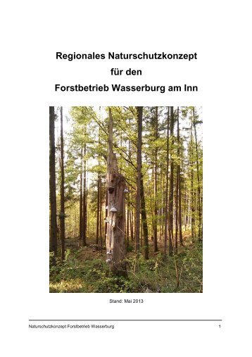 Naturschutzkonzept Forstbetrieb Wasserburg - Bayerische ...