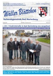 45-2013.pdfDateigrÃ¶ÃŸe: 3.6 MB Dateityp: pdf - Verbandsgemeinde ...