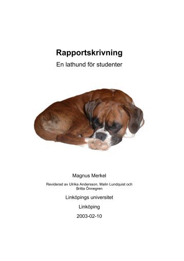 Rapportskrivning - IDA