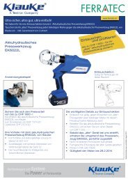 Flyer downloaden - Ferratec