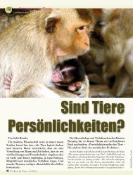 pdf-download - Magazin Freiheit fÃ¼r Tiere