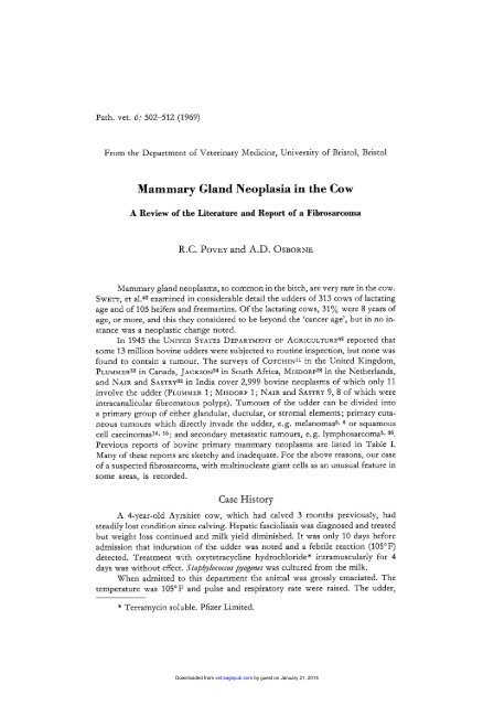 Mammary Gland Neoplasia in the Cow - Veterinary Pathology