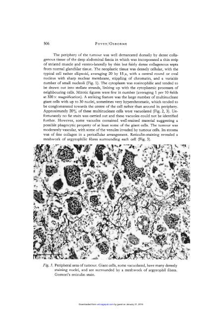 Mammary Gland Neoplasia in the Cow - Veterinary Pathology