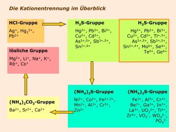 Seltene Elemente der Schwefelwasserstoff-Gruppe und SalzsÃ¤ure ...