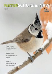 Vogelbeobachtung im Winter / Schwer zu finden - NABU NRW