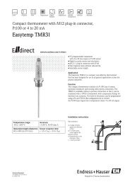 TD Easytemp TMR31 (PDF 250,0 kB) - Endress+Hauser Ireland