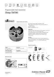 TD iTemp TMT80 (PDF 254,0 kB) - Endress+Hauser Ireland