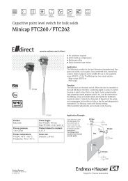 TD Minicap FTC260/FTC262 - Endress+Hauser Ireland