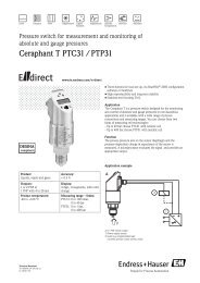 Ceraphant T PTC31 / PTP31 - Endress+Hauser Ireland