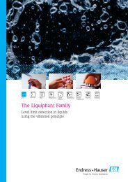The Liquiphant Family - Endress+Hauser Ireland