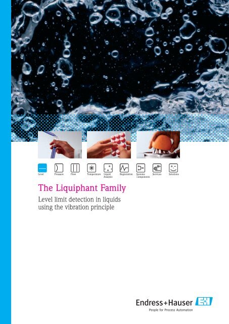 The Liquiphant Family - Endress+Hauser Ireland