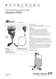 Soliswitch FTE20 - Endress+Hauser Ireland