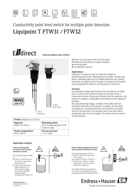 Liquipoint T Ftw31 Ftw32 Endress Hauser Ireland