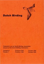 Db 1(2-3)1979