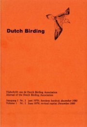 Db1(1)1979