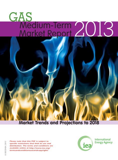 Medium-Term Gas Market Report 2013 - IEA