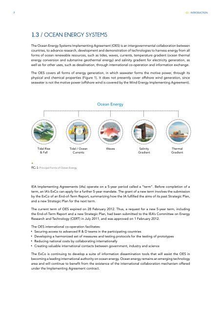 OES Annual Report 2012 - Ocean Energy Systems