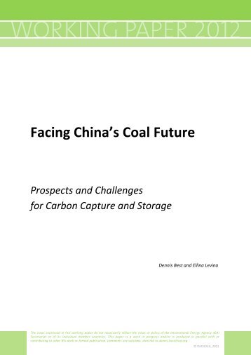 Facing China's Coal Future - IEA