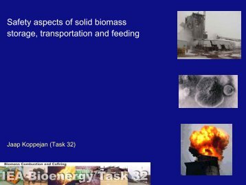 Safety aspects in small scale biomass combustion Jaap Koppejan ...