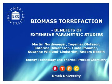 Biomass Torrefaction