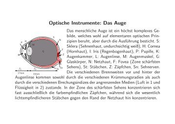 Optische Instrumente: Das Auge