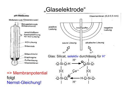 Chemische Sensoren