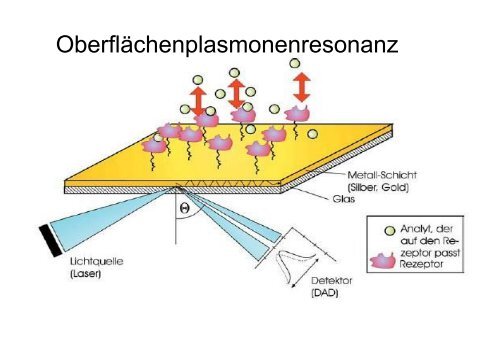 Chemische Sensoren