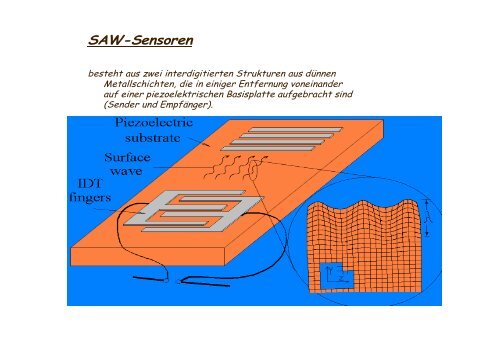 Chemische Sensoren