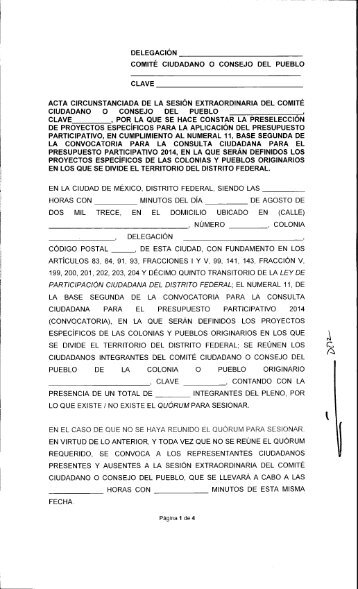 Formato de acta circunstanciada de la sesiÃ³n extraordinaria del ...