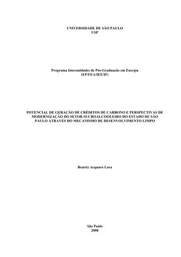 UNIVERSIDADE DE SÃO PAULO USP Programa ... - IEE/USP