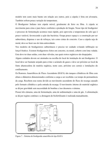 1 DANIELA CRISTIANE TESTON A PRODUÇÃO DE ... - IEE/USP