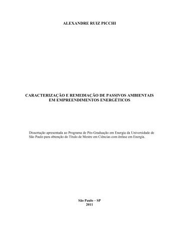 Caracterização e remediação de passivos ambientais em - IEE/USP