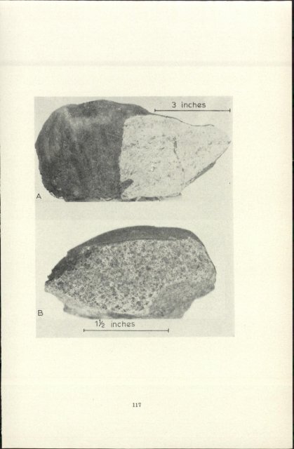 catalogue of western australian meteorite collections