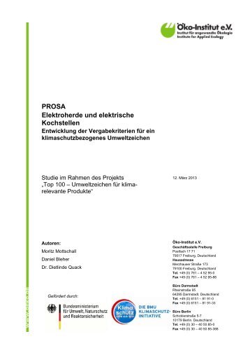 PDF-Datei - Ã–ko-Institut eV