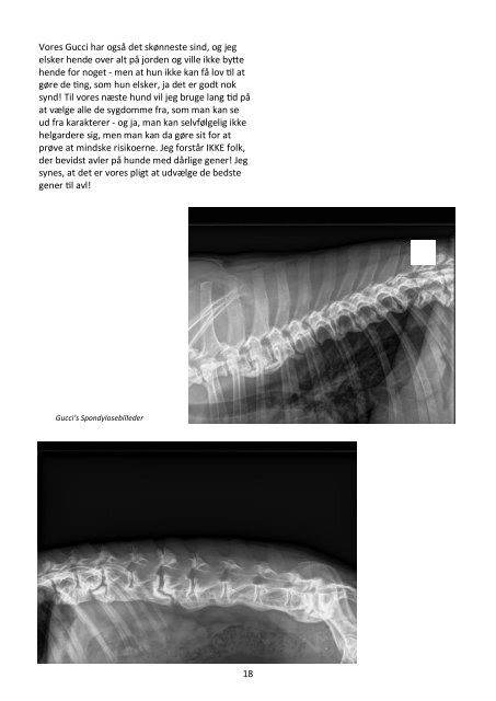 Et liv med spondylose - Boxerklubben