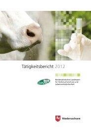 TÃ¤tigkeitsbericht 2012