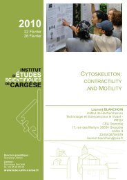 cytoskeleton - Institut d'études scientifiques de Cargèse (IESC)