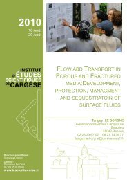 flow abd transport in porous and fractured media:development ...