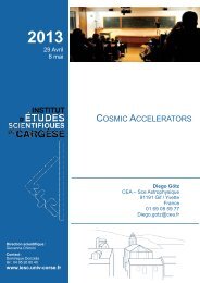 Diapositive 1 - Institut d'études scientifiques de Cargèse (IESC)